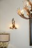 Antler Wall Sconce